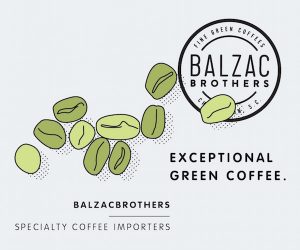 Balzac brothers