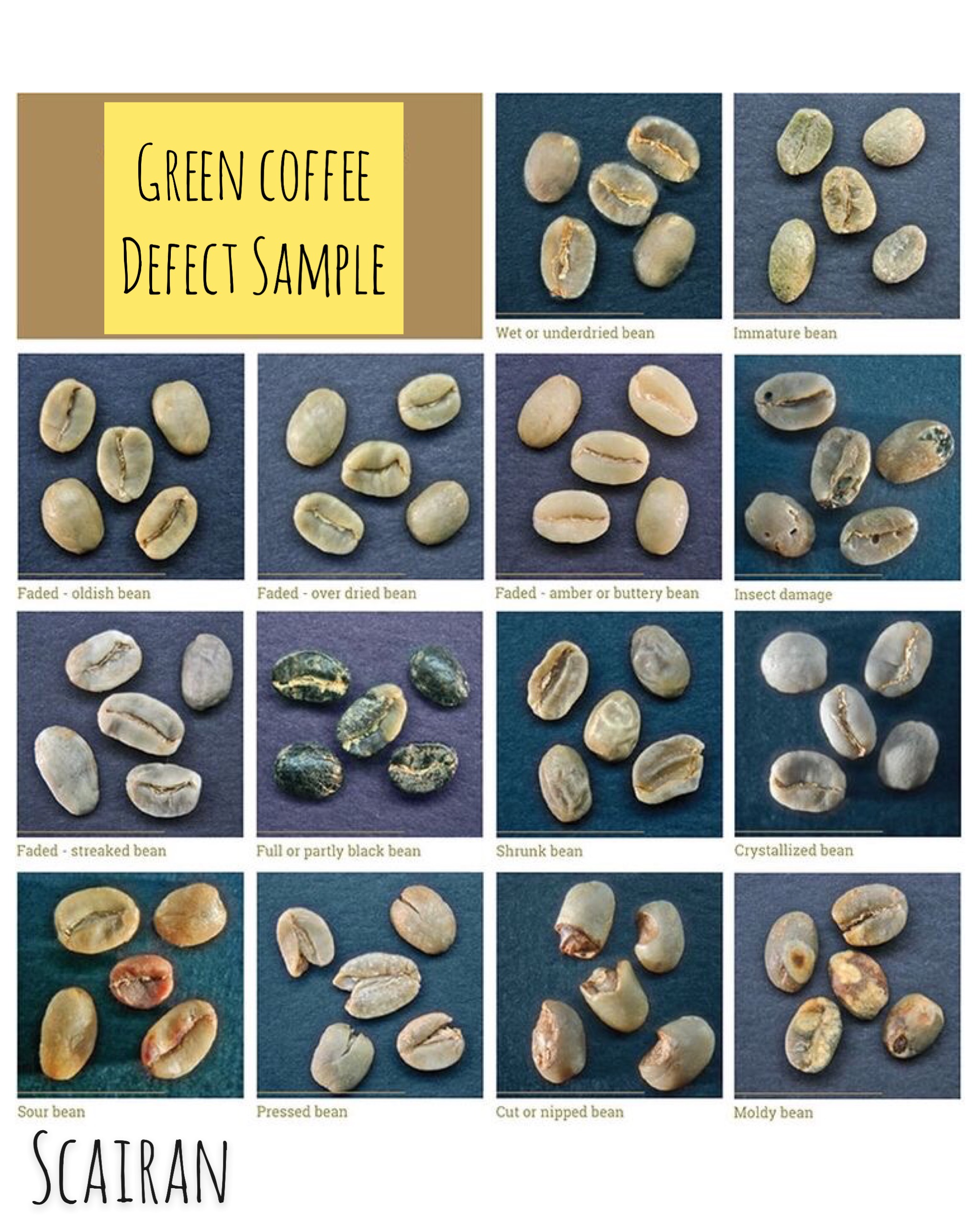 چگونه کیفیت دانه های سبز قهوه روی نمودار برشته کاری تاثیر می گذارد 
