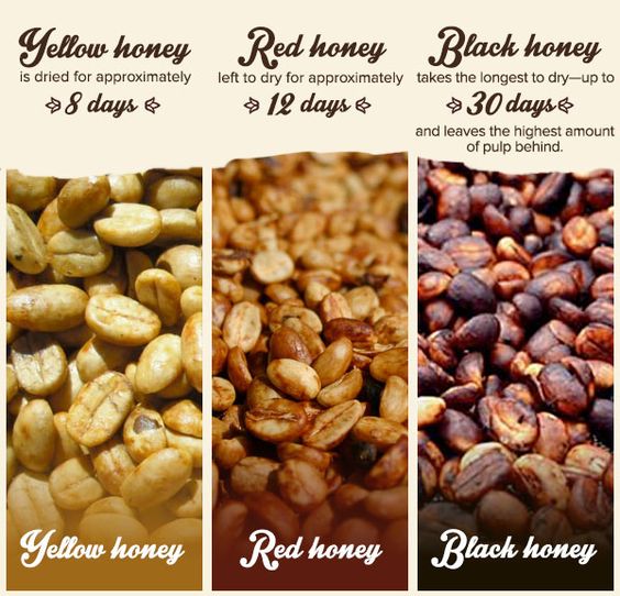فرآوری عسلی قهوه Honey process