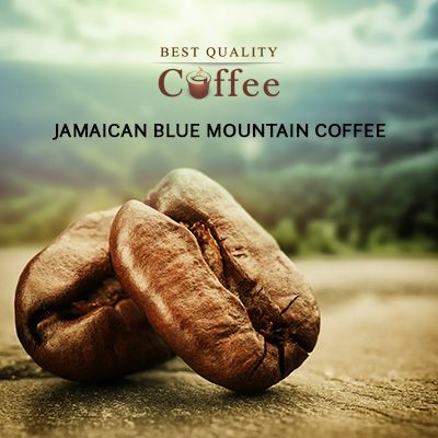 بلو مانتین جامائیکا Jamaican bleu mountain