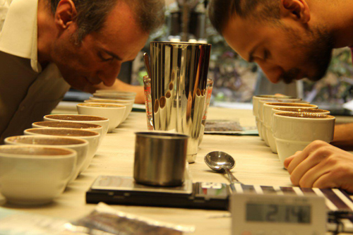 برنامه دم چش (Cupping) قهوه های Specialty در خانه قهوه تخصصی ایران