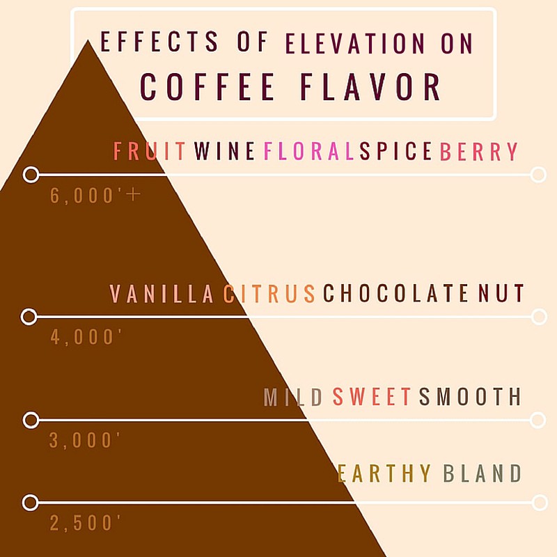 ارتفاع کاشت گیاه قهوه  Cultivation Elevation *