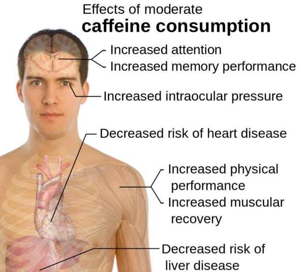 نقش قهوه در پیشگیری از بیماری چاقی مفرط و عوارض جانبی آن *